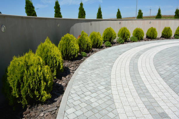Best Affordable Driveway Paving  in King George, VA